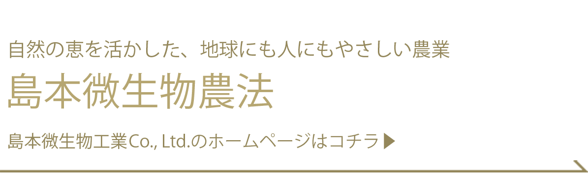 自然の恵みを生かした、地球にも人にもやさしい農業　島本微生物農法