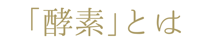 「酵素」とは