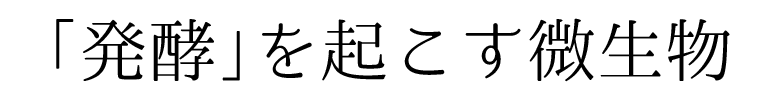 「発酵」を起こす微生物