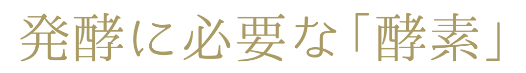 発酵に必要な「酵素」