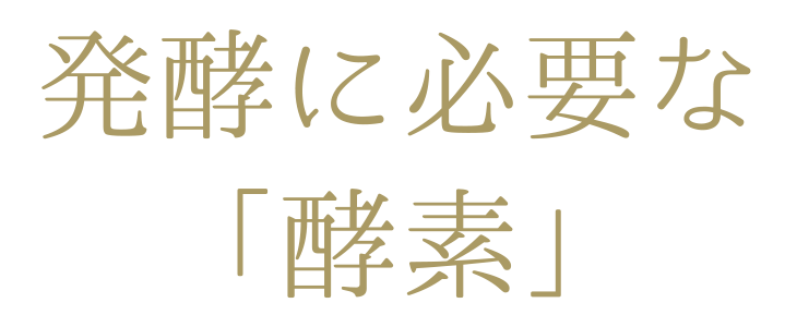 発酵に必要な「酵素」